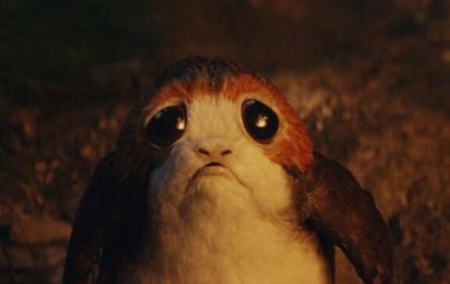 Picture of a Sad Porg